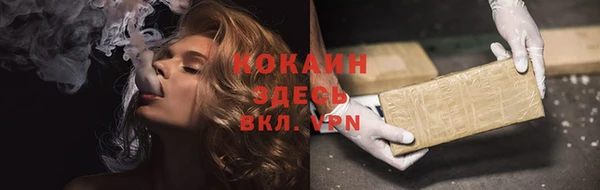 крисы Белокуриха