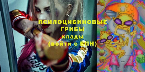 гидра Беломорск